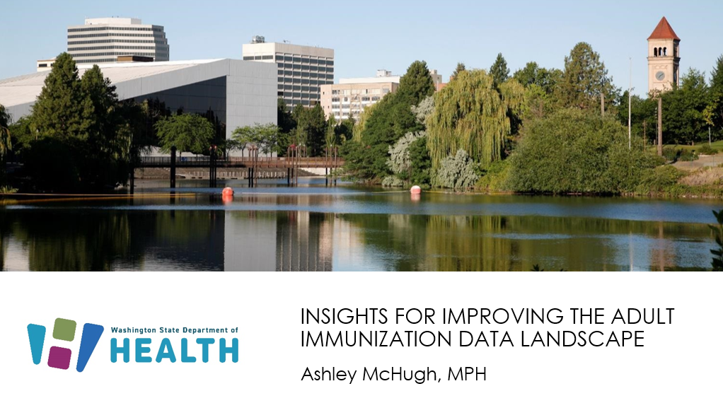 Insights into Improving the Adult Immunization Data Landscape